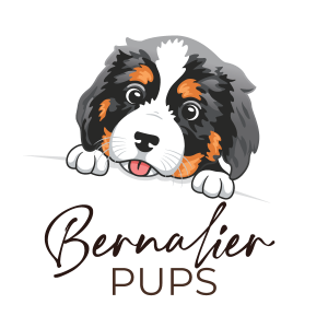 Bernalier Pups
